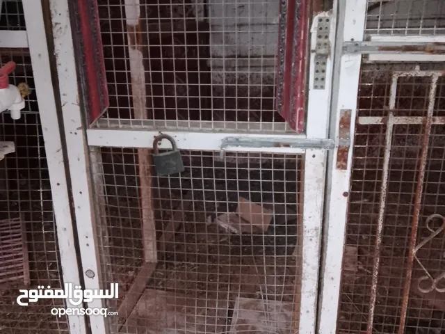 ياخور أو قفص للبيع شوف الوصف