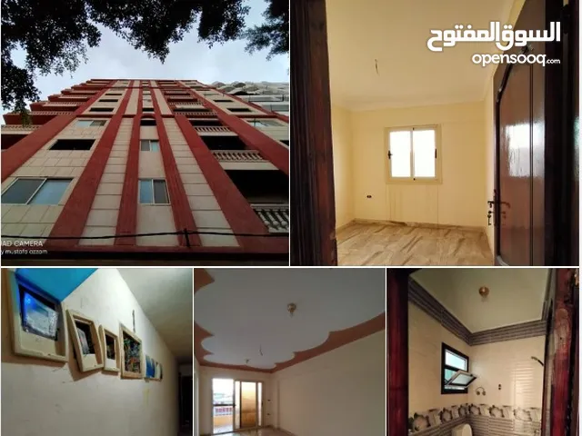 85 m2 2 Bedrooms Apartments for Sale in Alexandria Agami