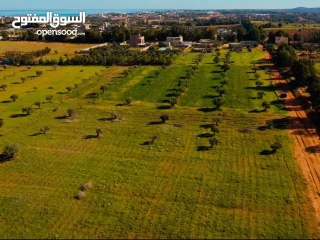 أرض للبيع – غنيمة / الخمس شارع الأربعين