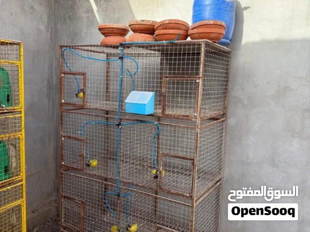 محاكر 6 خنات نظاف مع ملحقاته ميحتاج عليك شي