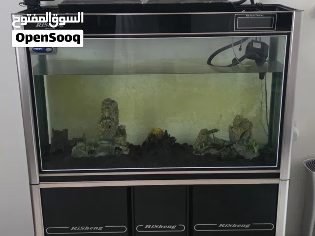 للبيع: حوض أسماك فاخر (كامل التجهيز)