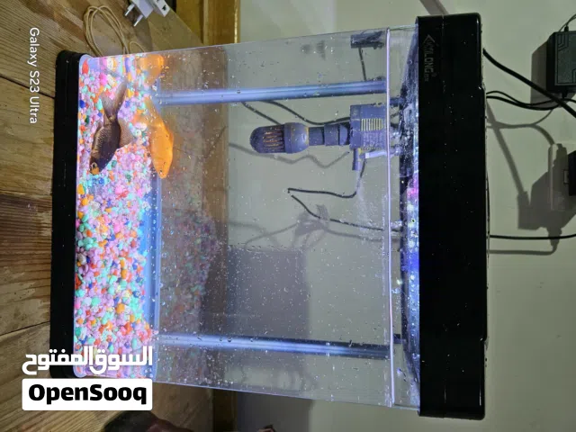 حوض سمك زينة بالماطور قاعد بحالة الجديد مع الحجر الصناعي