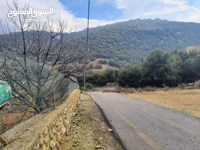 Farm Land for Sale in Salt Al Balqa'