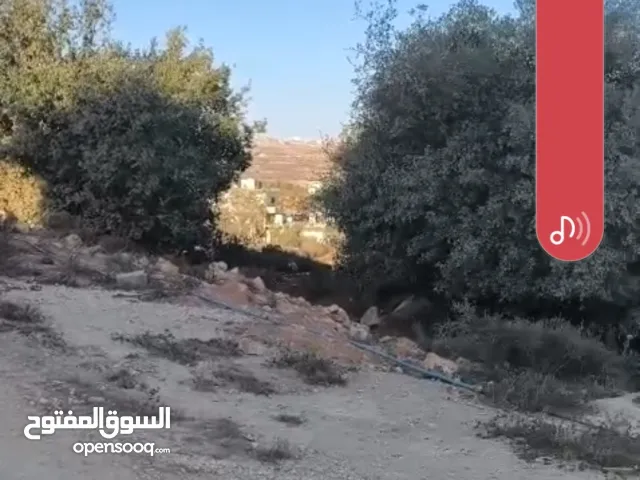 ارض 380 للبيع في كفرنعمه صالح للبيناء سعر 25الف دينار