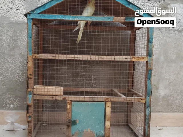 قفص خشب نوع ممتاز مستخدم فترة بسيطة