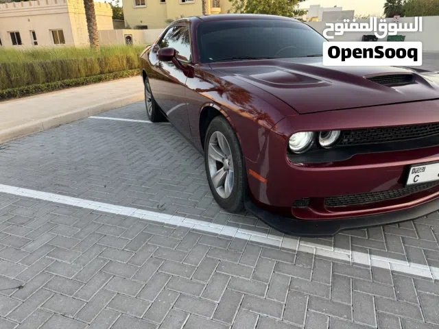 2019, Dodge, Challenger, R/T
