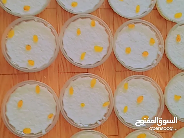 طبق رز بحليب جرب ان شاء يعجبك سعر خاص للكميات والله الموفق