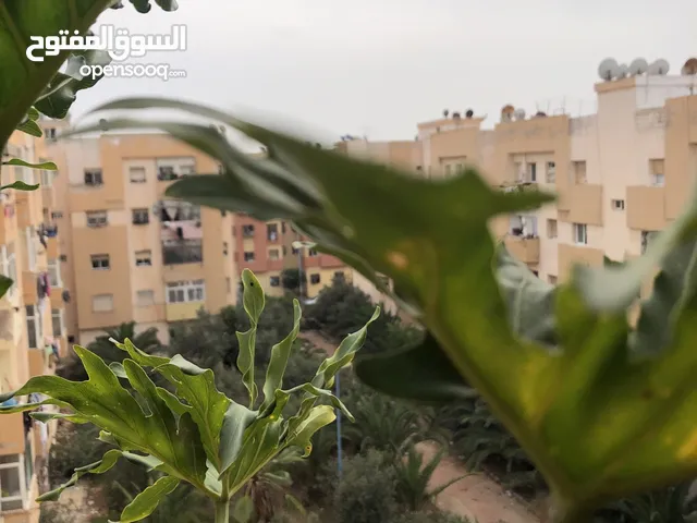 68 m2 3 Bedrooms Apartments for Sale in Casablanca Other