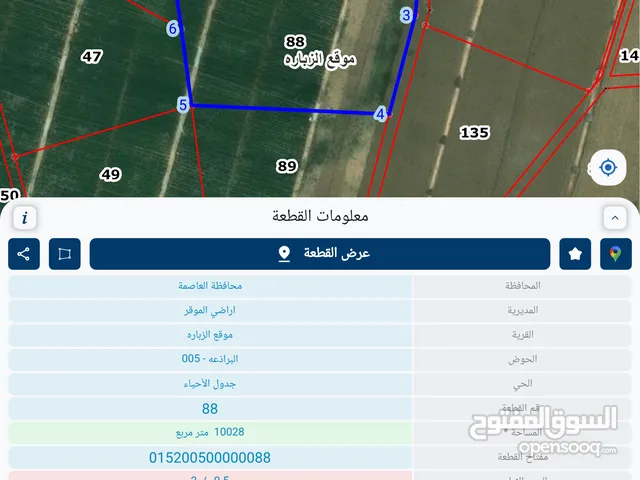 Farm Land for Sale in Amman Al-Muwaqqar