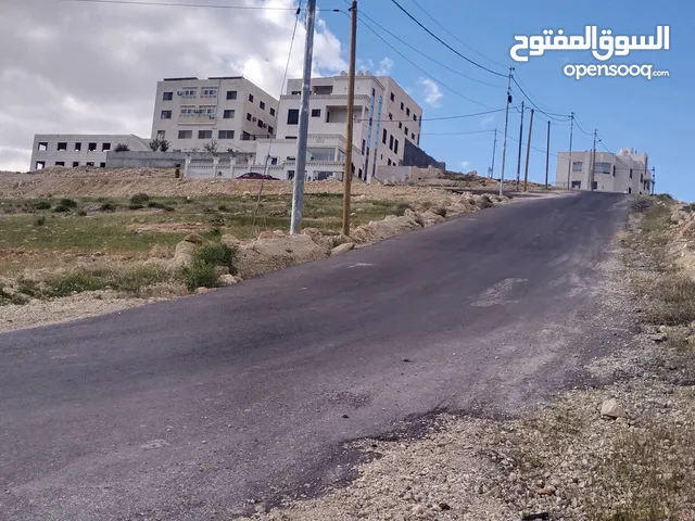 Residential Land for Sale in Amman Shafa Badran