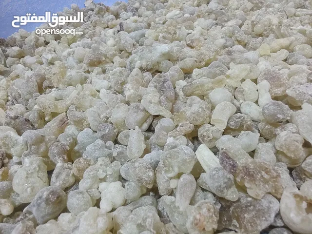 لبان ذكر حوجري انتاج جديد