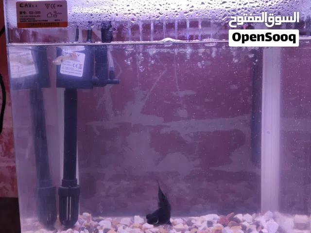 حوض اسماك جديد