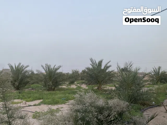 ارض زراعيه موجود بيه بستانين + بيتين +بئر ماء حلوو + شارع خاص بيك + مساحه اضافيه