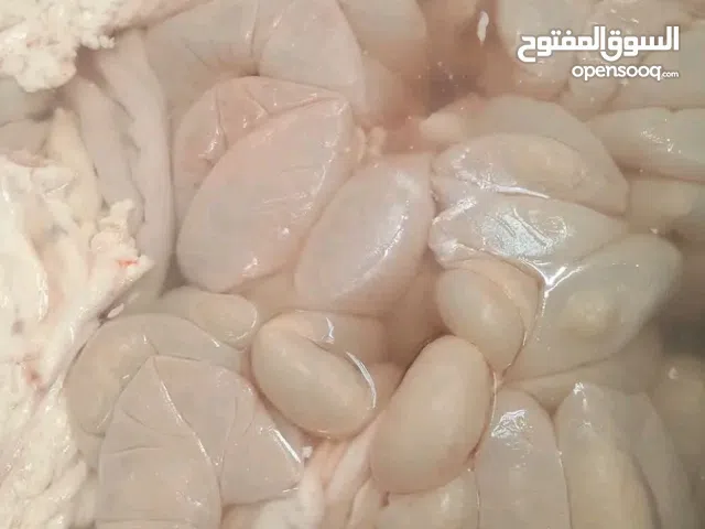 مصارين بقر وابل وطني