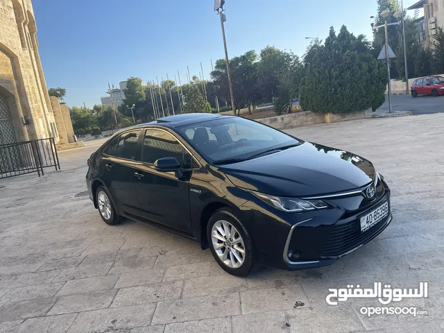 Used Toyota Corolla in Amman