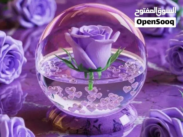 تدقيق وترجمة وتنسيق الأبحاث والرسائل الجامعية باللغة الإنجليزية