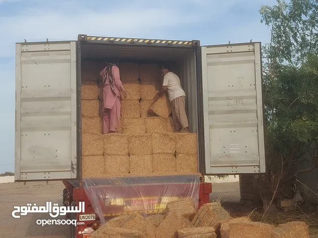 نظيف جديد تبن موجود كبير بندل