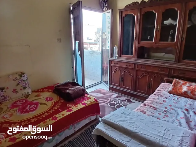85 m2 2 Bedrooms Apartments for Rent in Alexandria Mandara
