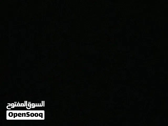 مطلوب كلب للتبني المكان مصراته
