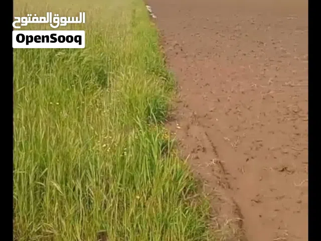 هكتار و 8000 محفضة مسجلة نواحي البئر الجديد