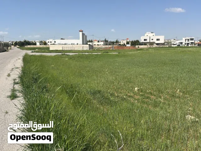 778 متر على شارعين في منجا