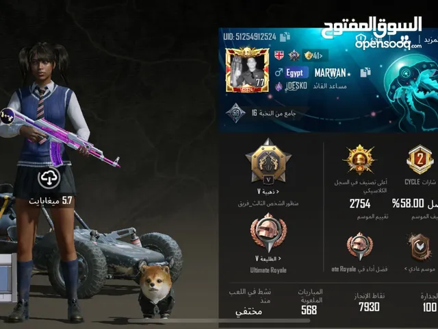 حساب ببجي نادر