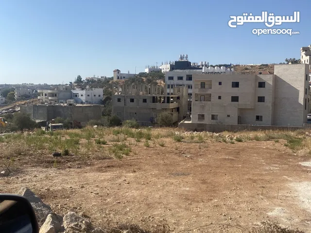 قطعة ارض دونم للبيع مع المالك مباشرة