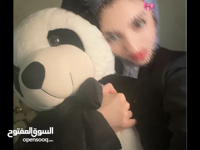 دالين محمد ابو شرخ