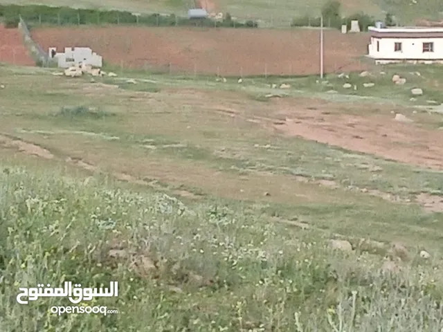 مزرعة للبيع