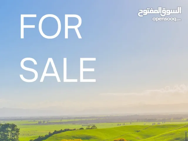 ارض بمساحة 10دونم في عبدون