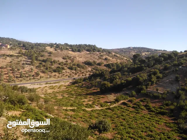 Mixed Use Land for Sale in Ajloun E'in Jana