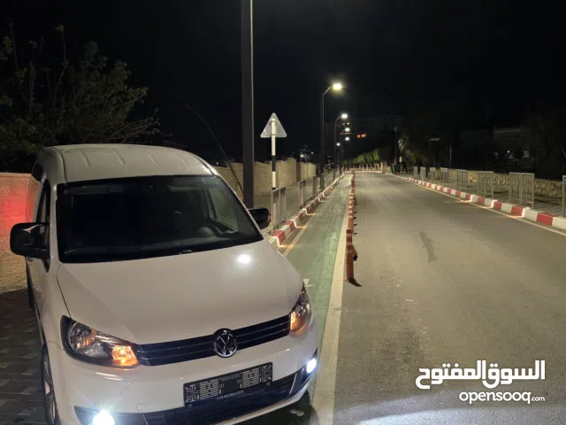 كادي شصي طويل