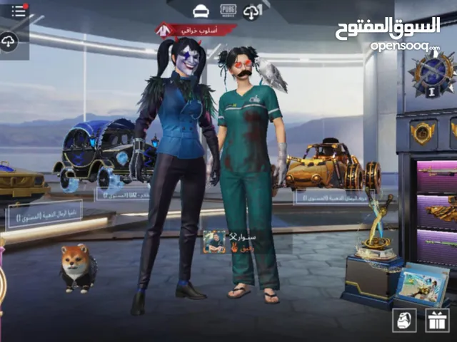 Pubg Accounts and Characters for Sale in Irbid