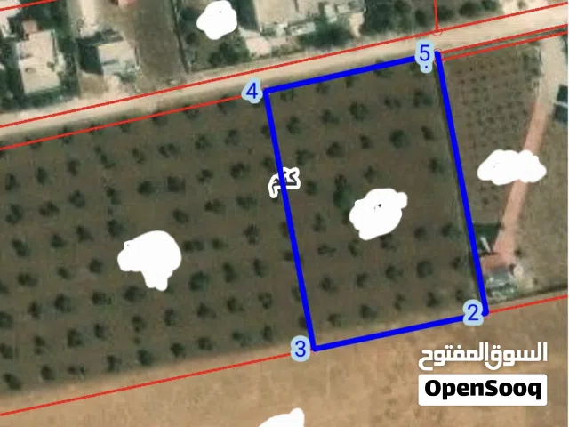 Farm Land for Sale in Irbid Kitim