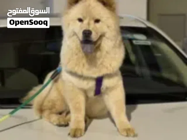 لبيع بسعر 750,000