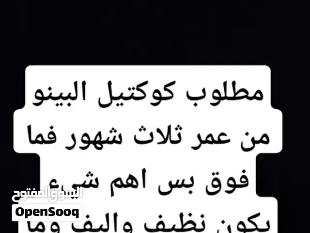 مطلوب كوكتيل البينو اقرا الوصف