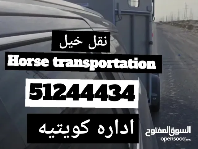 نقل خيل horse transportation