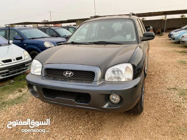 2004 European Specs Excellent with no defects in Sabratha