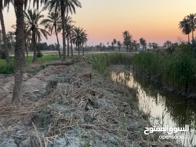شاليهات دوانم في الكباسي والريان