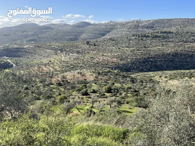 Residential Land for Sale in Ramallah and Al-Bireh Mazri' Al-Nubani