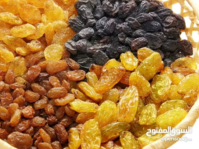 Raisin “ زبيب ”