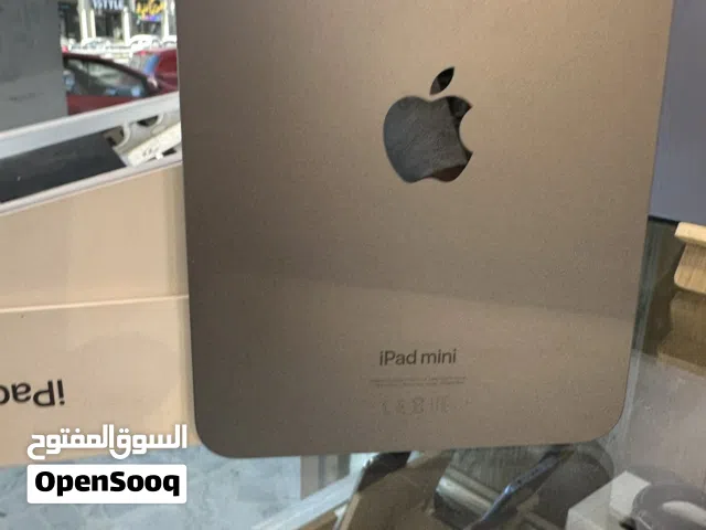 ipad mini 7