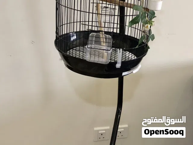 قفص بحالة ممتازةً