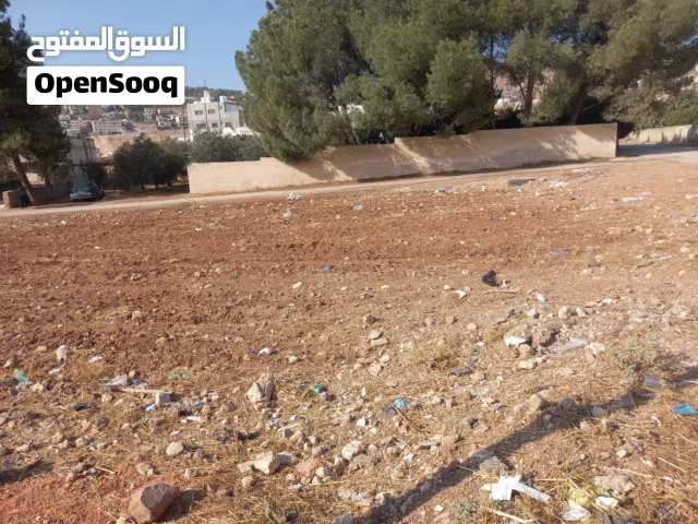 Residential Land for Sale in Salt Ein Al-Basha