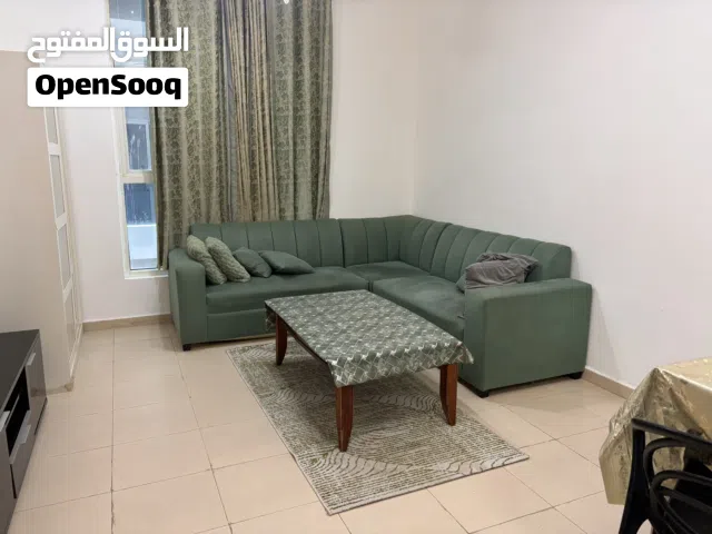 1 bhk furnished apartment for rent