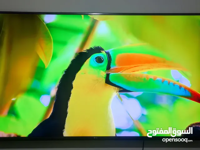 LG WebOS 65 inch smart tv 4k UHD