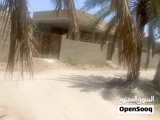 Farm Land for Sale in Basra Al-Midaina