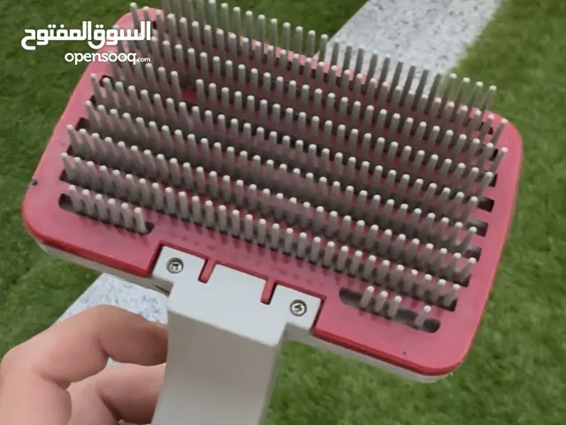 كلب جولدن 55 يوم