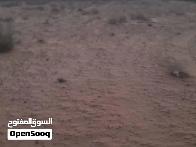 ارض للبيع في سيد السايح