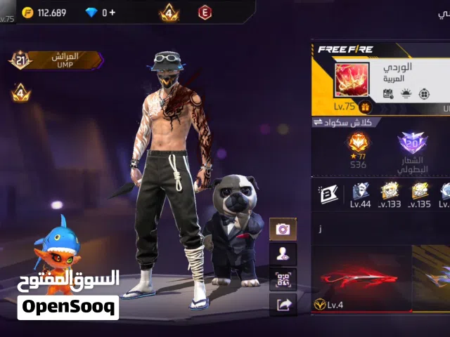 Free Fire Accounts and Characters for Sale in Al Dhahirah